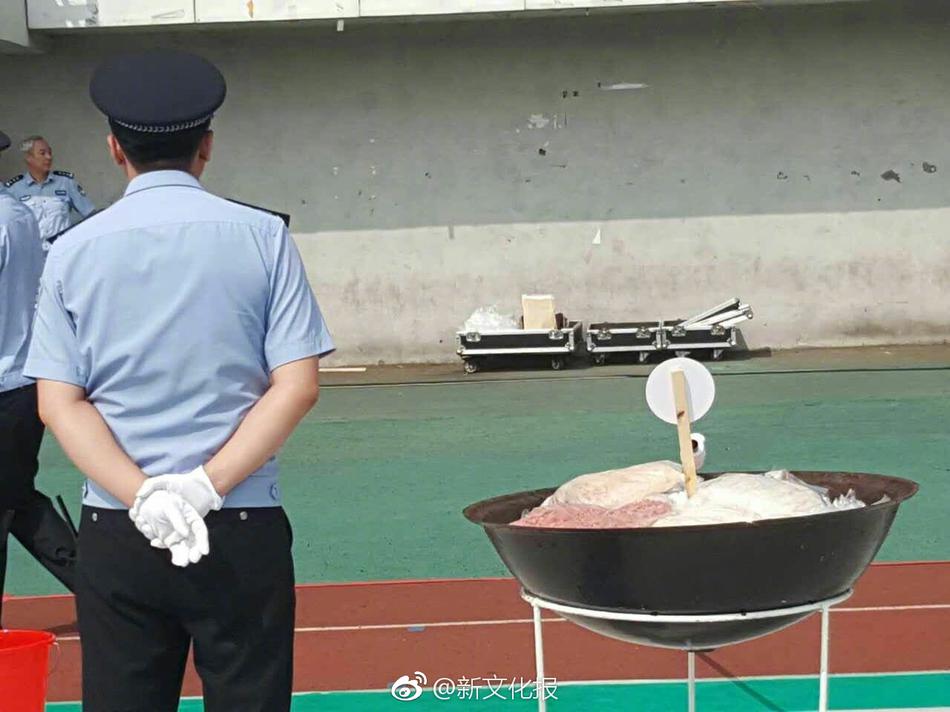 欧美美女黄片免费看