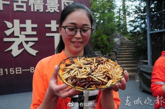 台灣肉肉女