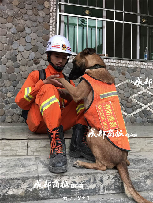 范冰冰的一级黄色网站