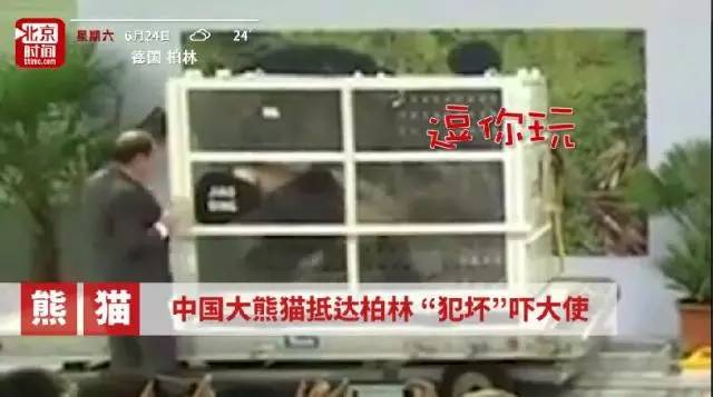 wwwxxx国产