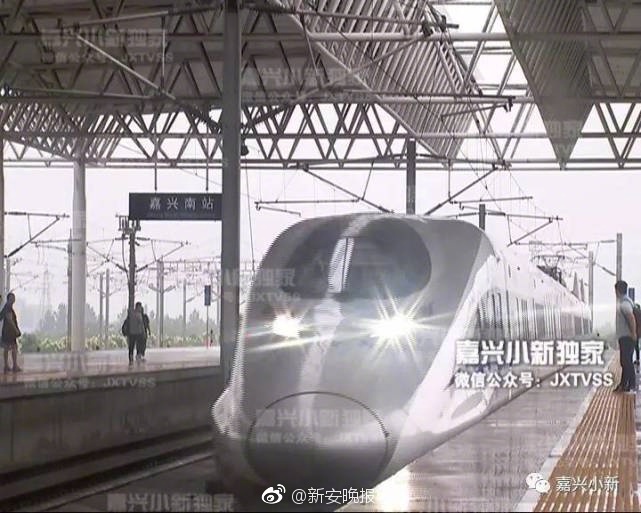 雷电将军的释怀网站!