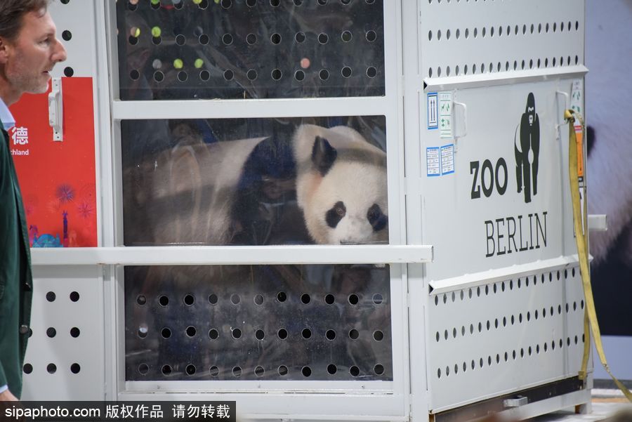 扒开老师的衣服 一晚