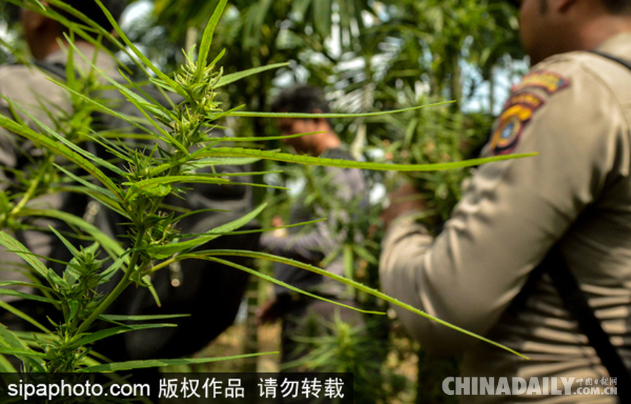 鬼滅之刃動漫