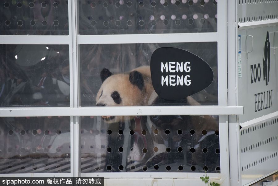 少妇激情炮机自慰