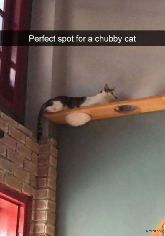 欧美性猛交