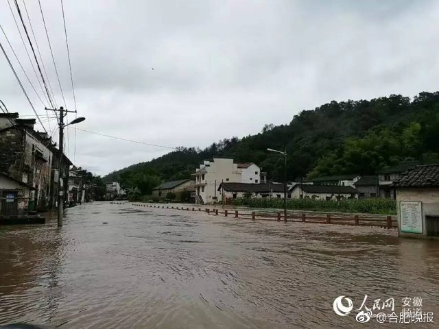 91视频高清