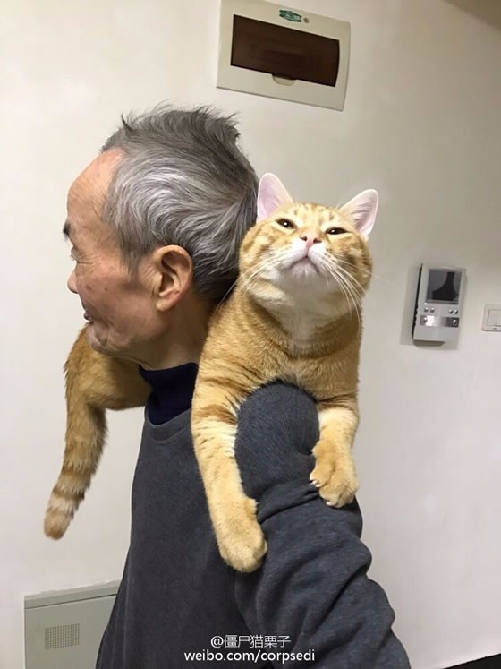 国产高清自拍