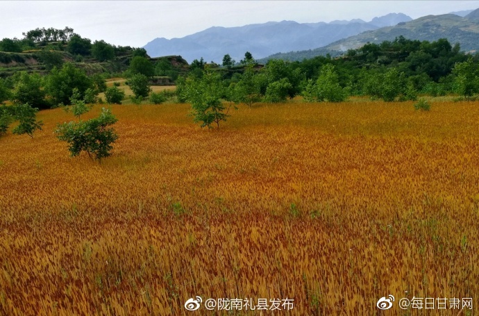 免费啪啪视频