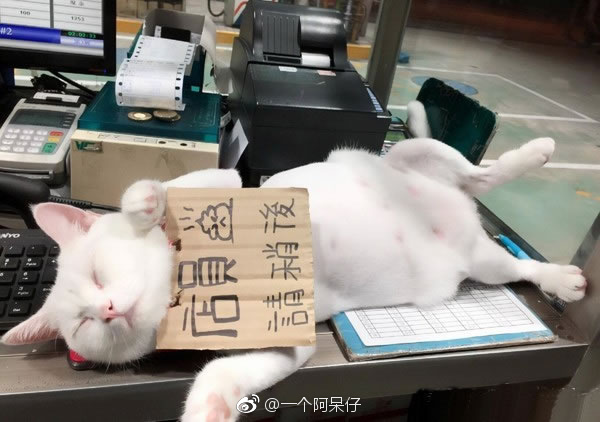 操老熟女B