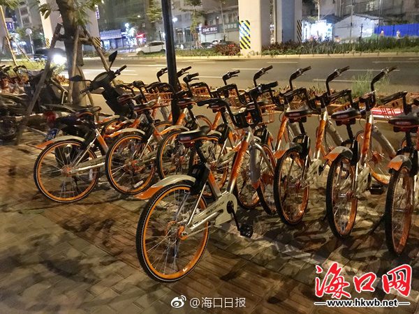 爱情岛永久免费线路高清