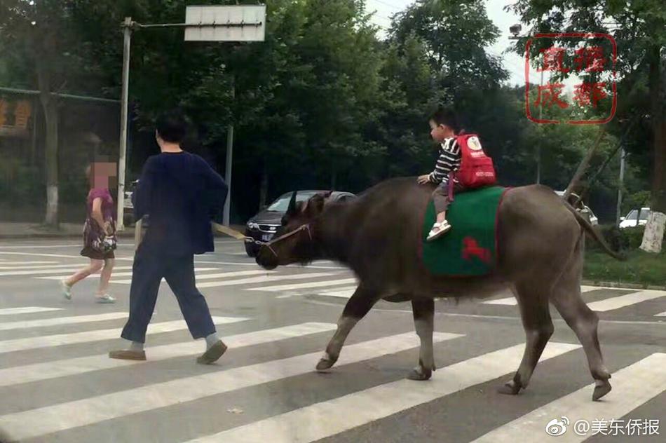 WWW黄片