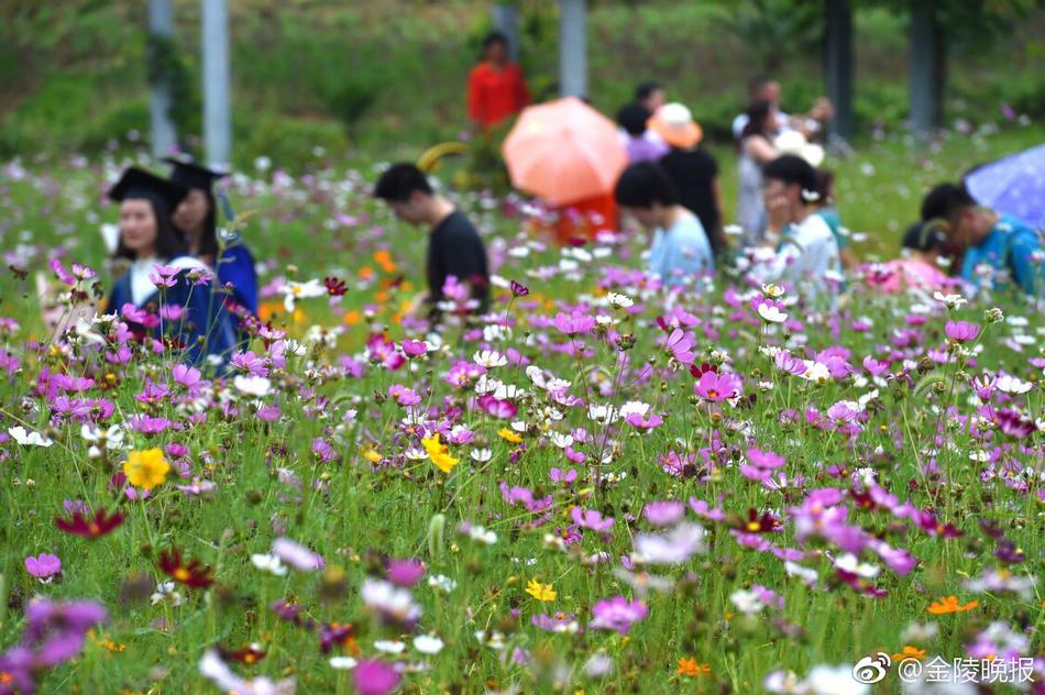 国产黄色在线观看