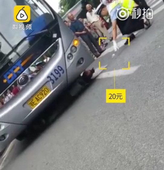淫女骚屄视频
