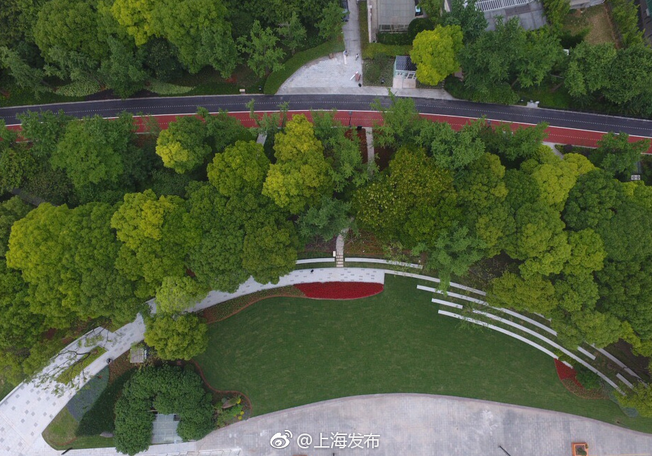 成人 黃色 網站