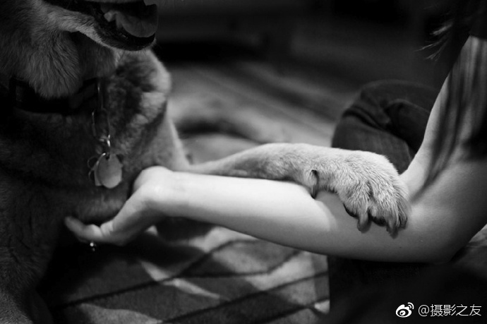 台湾黄色一级片