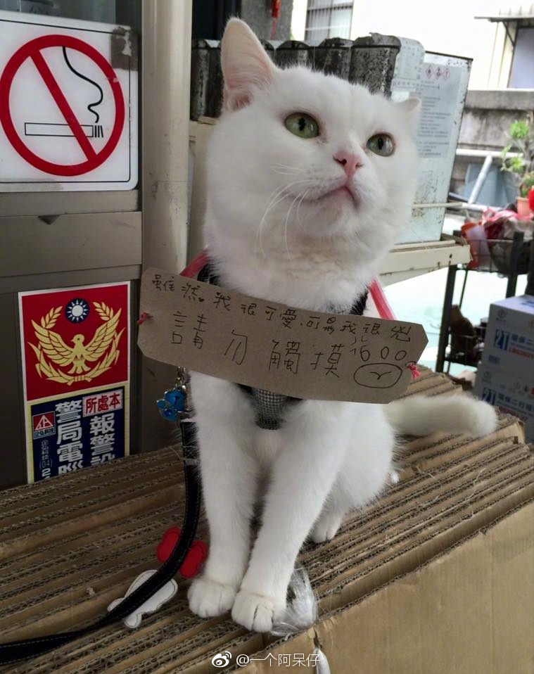 欧美三级中文字幕