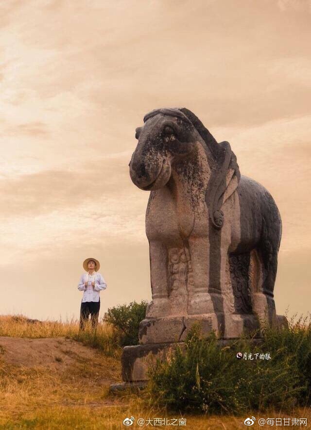 欧美老妇疯狂做受
