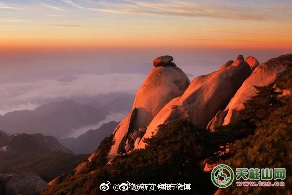 清冷校草被扒开腿狂c的动漫