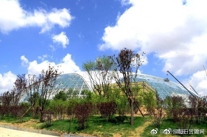 巨根