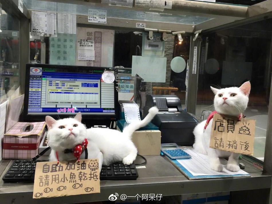 四川人BBBBB桑BBBB