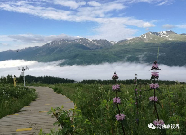 一区二区福利