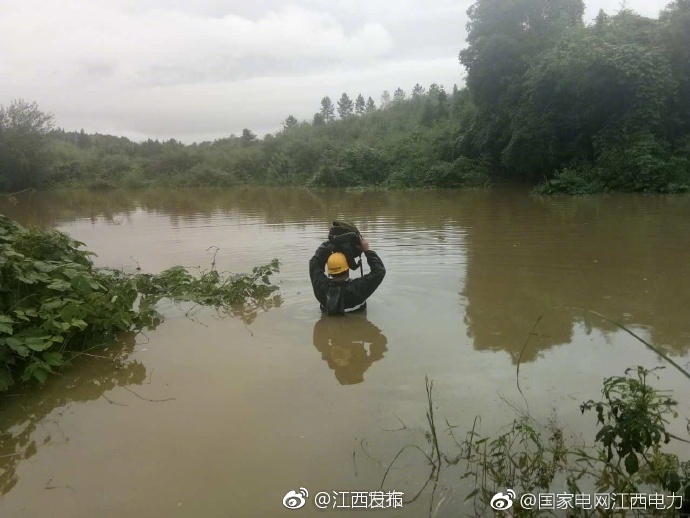 黄色网站站毛片2