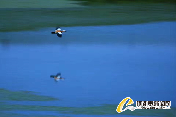 高潮激情片