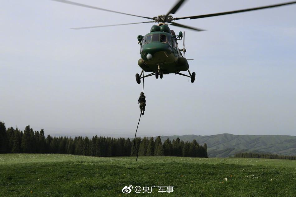 陳雅倫