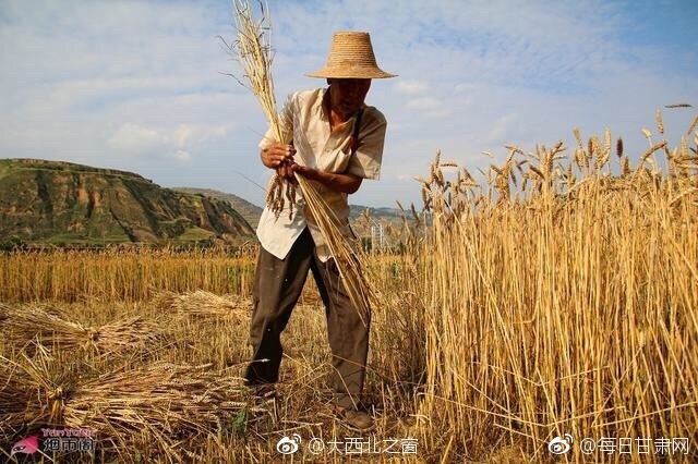 精品综合