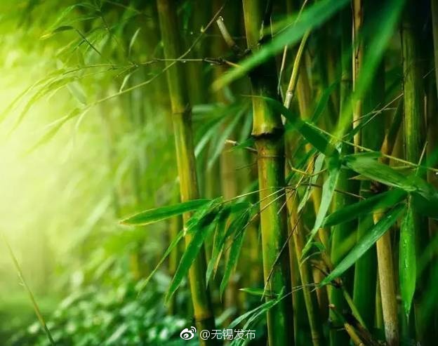 欧美黄色一级