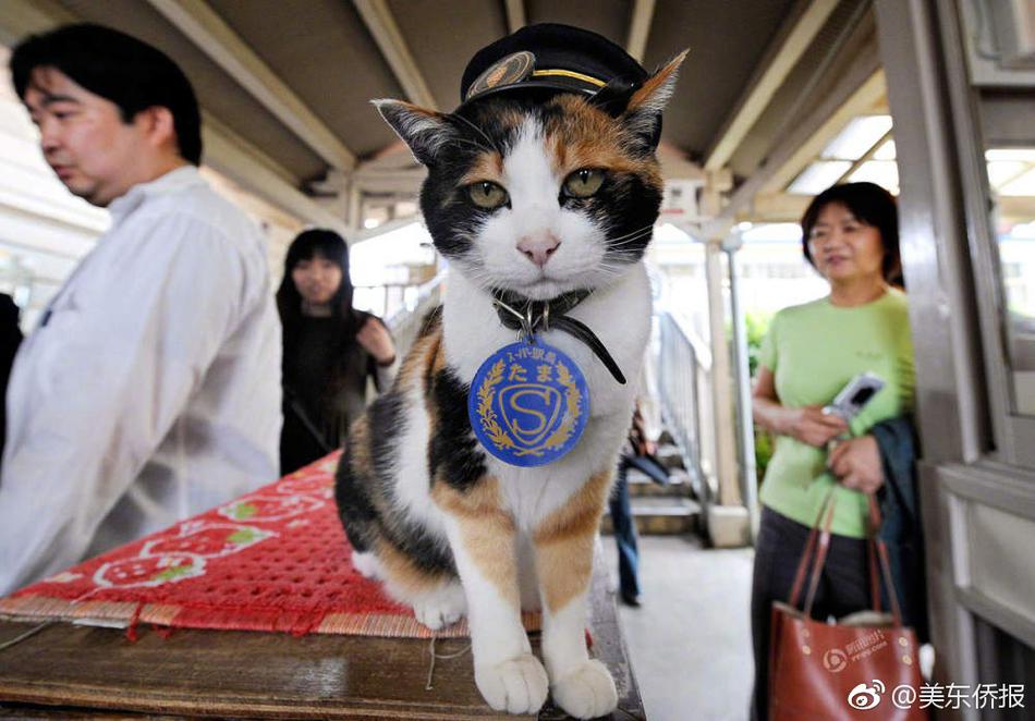 老人小处?女Hd老人