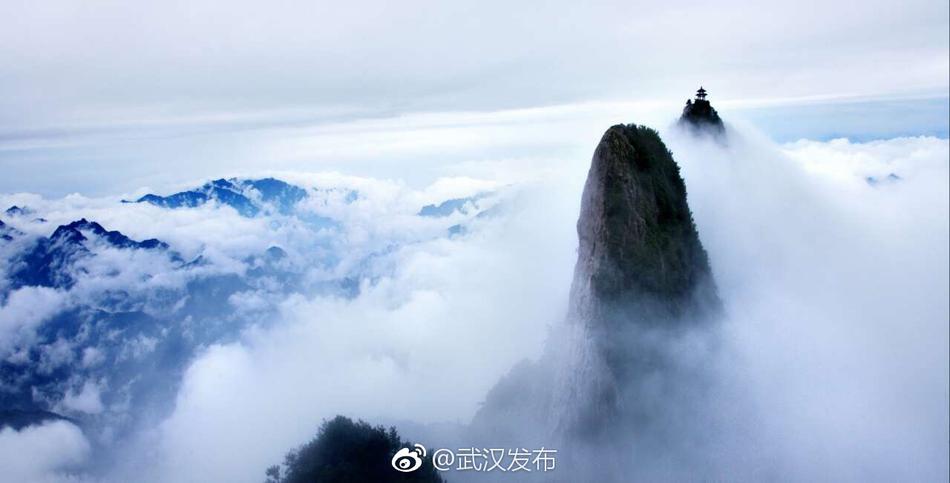 高清 无码 成人 电影