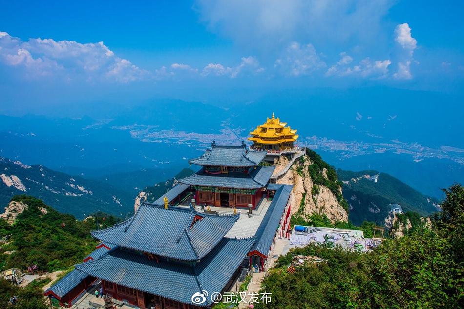 黄色网站高清入口