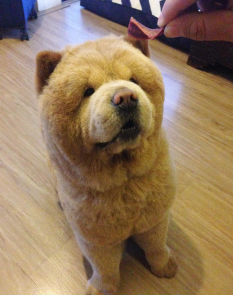 中国色情片