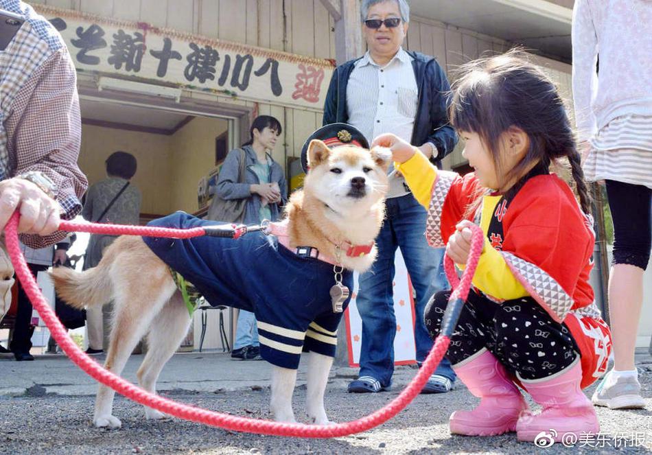 中国四大黄色网站