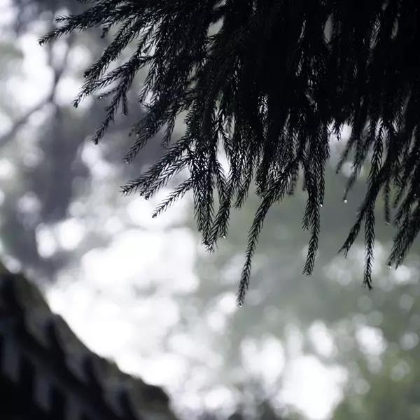黄色电影Xxxxxxxxxxxx