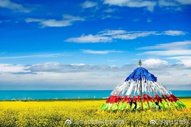 欧美激情骚妇
