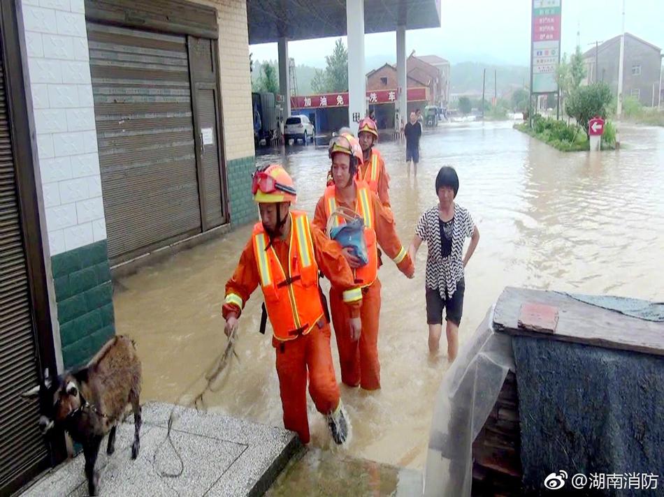 欧美老妇浓毛大泬视频