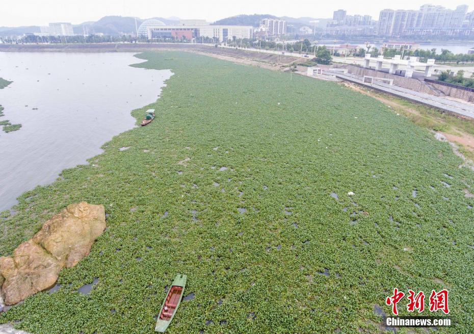 自慰喷水在线看