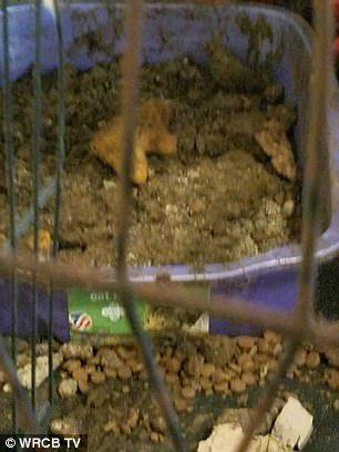 男子与动歾日逼免费视频
