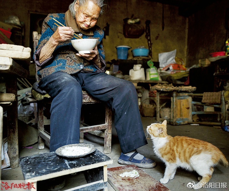 黄色免费软件
