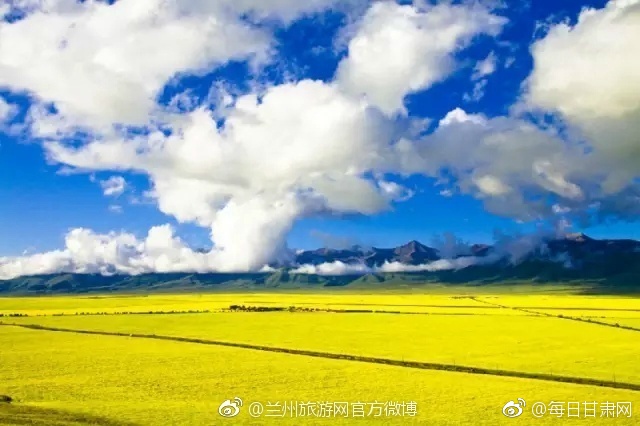 台灣寫真集