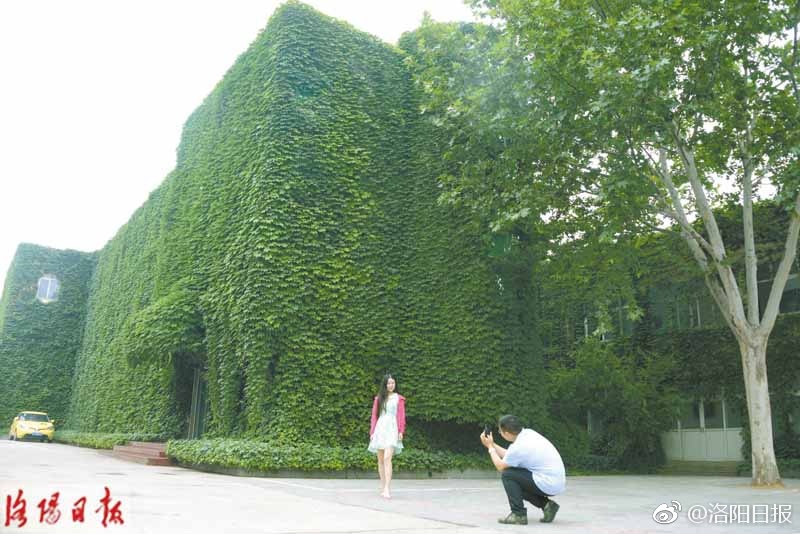 女人跟猪狗操逼