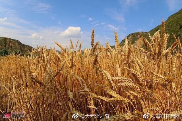 三级片电影韩国Hd