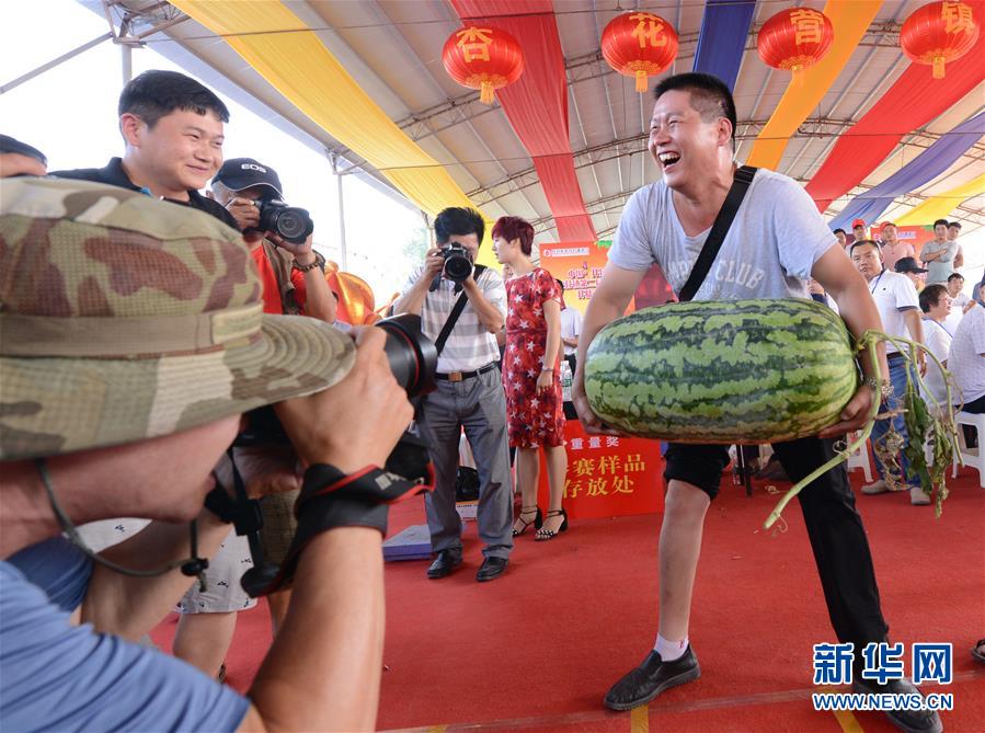 欧美三级片性爱视频网站