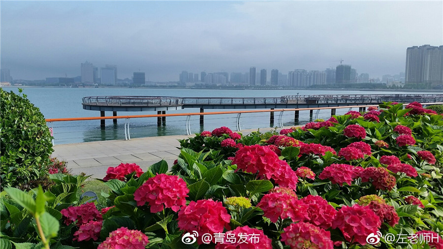 四虎最新网站