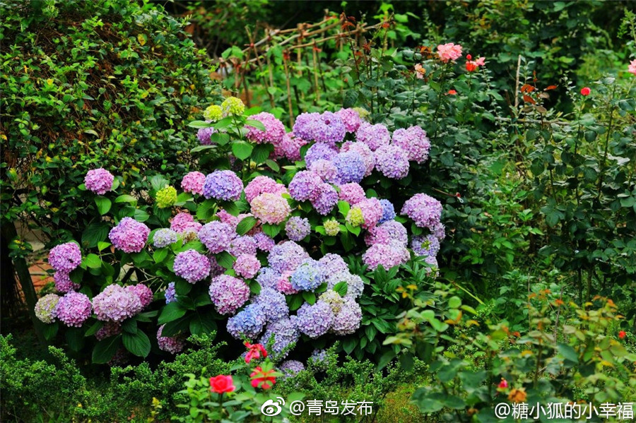 英语老师乖乖晚下裙子