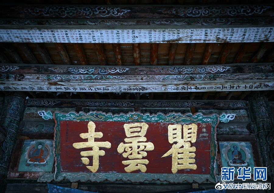 寡姐