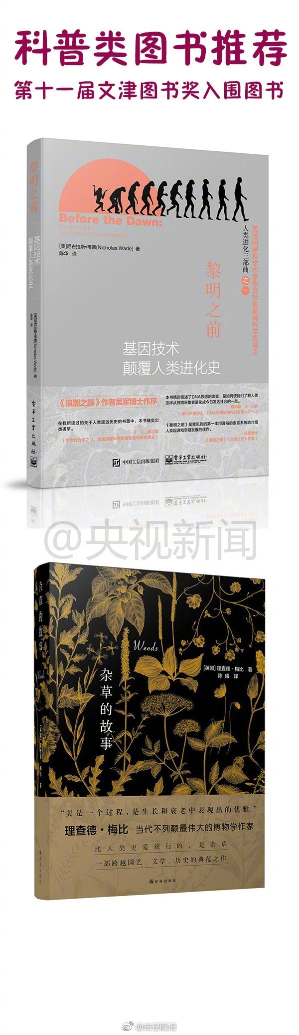 黄色网站区一