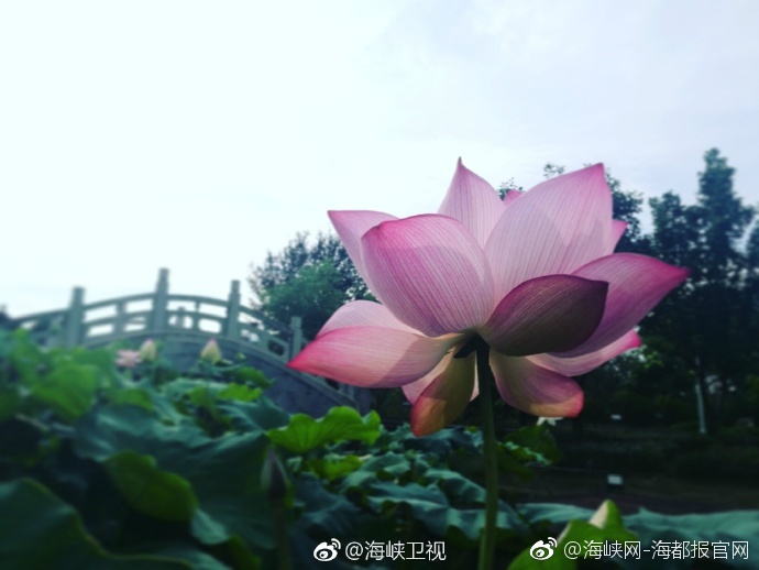体育生18cm自慰多次出精